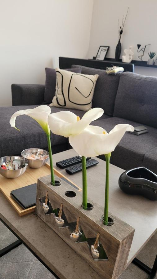 Apartman Riva Kraljevo Zewnętrze zdjęcie