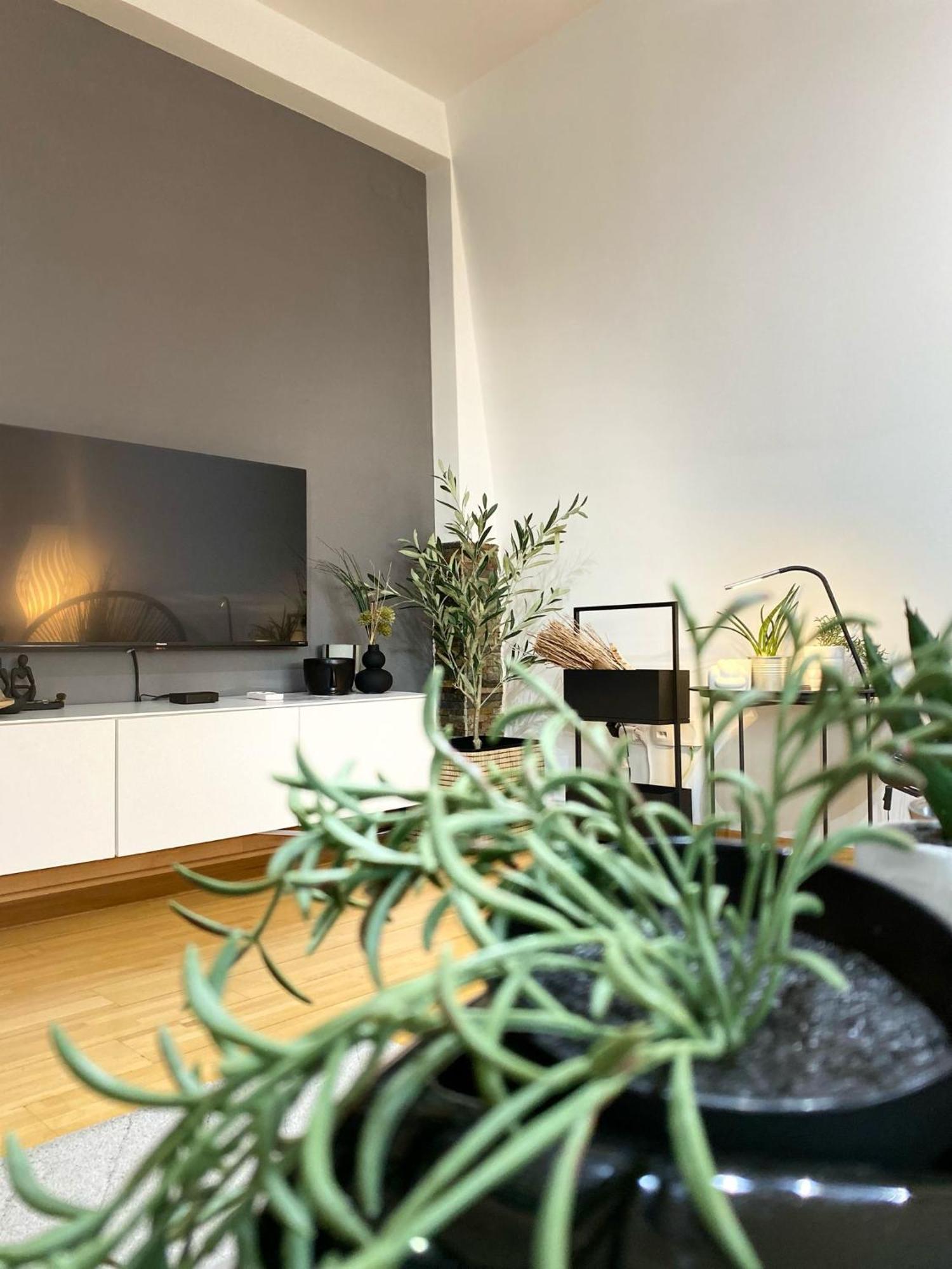 Apartman Riva Kraljevo Zewnętrze zdjęcie